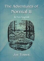 Cover von The Adventures of Normal Ii