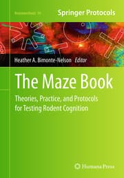 Cover von The Maze Book
