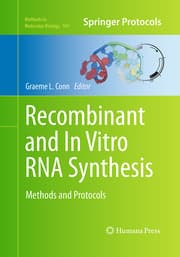 Cover von Recombinant and In Vitro RNA Synthesis