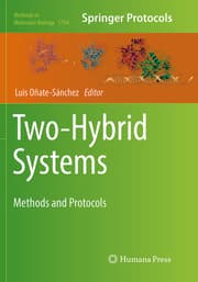 Cover von Two-Hybrid Systems