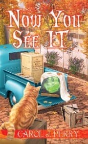 Cover von Now You See It