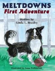 Cover von Meltdowns First Adventure