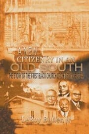 Cover von A New Citizenry in an Old South
