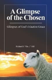 Cover von A Glimpse of the Chosen