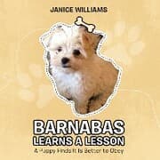 Cover von Barnabas Learns a Lesson