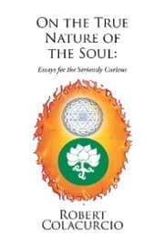 Cover von On the True Nature of the Soul: Essays for the Seriously Curious