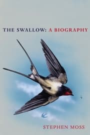 Cover von Swallow