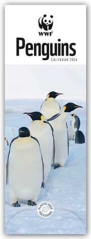 Cover von WWF Penguins 2024