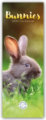 Cover von Bunnies - Hasen - Kaninchen 2026 - Slimline-Kalender
