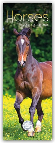 Cover von Horses - Pferde 2026 - Slimline-Kalender