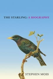 Cover von The Starling