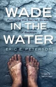 Cover von Wade in the Water