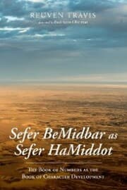 Cover von Sefer BeMidbar as Sefer HaMiddot