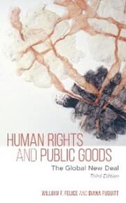 Cover von Human Rights and Public Goods