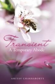 Cover von Transient - a Temporary Abode