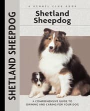 Cover von Shetland Sheepdog