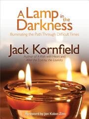 Cover von Lamp in the Darkness