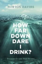 Cover von How Far Down Dare I Drink?