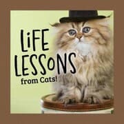 Cover von Life Lessons from Cats!
