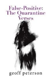 Cover von False-Positive: the Quarantine Verses