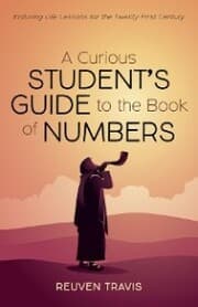 Cover von A Curious Student's Guide to the Book of Numbers