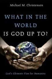 Cover von What in the World Is God Up To?
