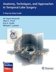 Cover von Anatomy, Techniques, and Approaches in Temporal Lobe Surgery