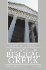 Cover von Essays in Biblical Greek