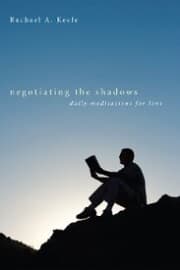 Cover von Negotiating the Shadows