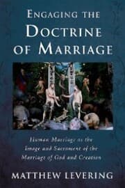 Cover von Engaging the Doctrine of Marriage
