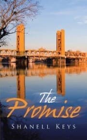 Cover von The Promise