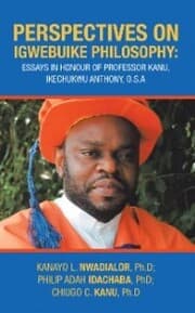 Cover von Perspectives on Igwebuike Philosophy: