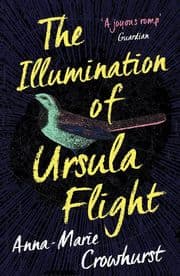 Cover von The Illumination of Ursula Flight