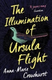 Cover von The Illumination of Ursula Flight
