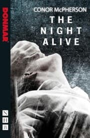 Cover von The Night Alive