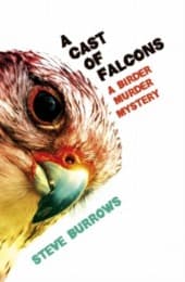 Cover von A Cast of Falcons