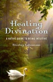 Cover von Healing Divination