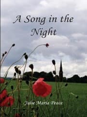 Cover von A Song in the Night