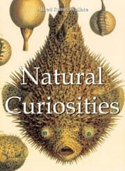 Cover von Natural Curiosities
