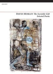 Cover von The Invisible Gift