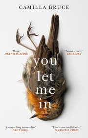 Cover von You Let Me In