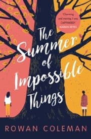 Cover von The Summer of Impossible Things