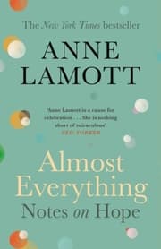 Cover von Almost Everything