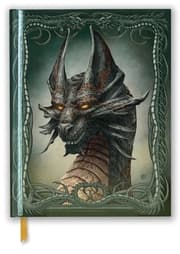 Cover von Premium Skizzenbuch: Kerem Beyit, Schwarzer Drache