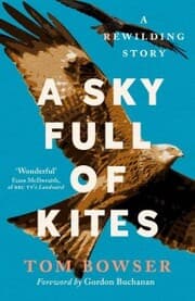 Cover von A Sky Full of Kites