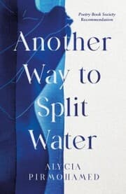 Cover von Another Way to Split Water