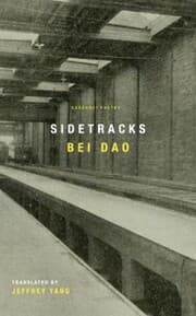 Cover von Sidetracks