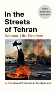 Cover von In the Streets of Tehran