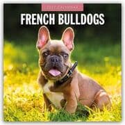 Cover von French Bulldogs/Französische Bulldoggen 2027