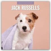 Cover von Jack Russells/Jack Russell Terrier 2027